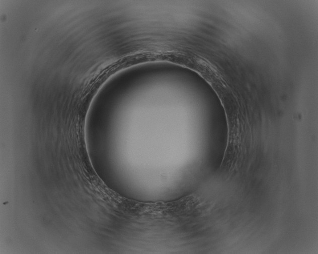 X0000089660773200707121158