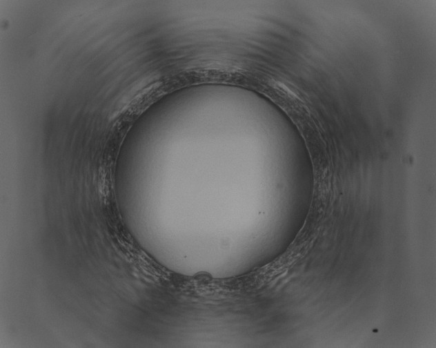 X0000089660774200707121158