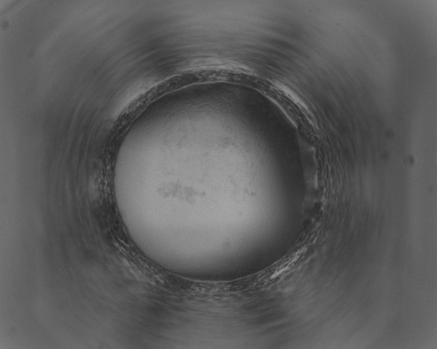 X0000089660775200707121158