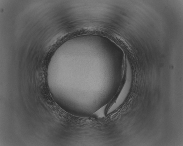 X0000089660776200707121158