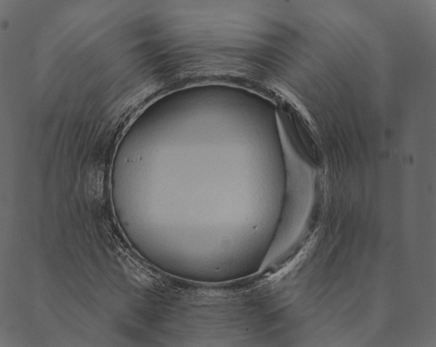 X0000089660777200707121158