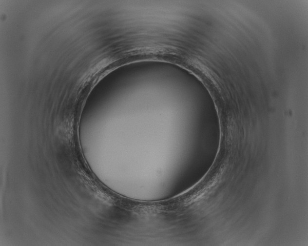 X0000089660778200707121158