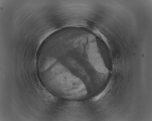 X0000089660779200707121158