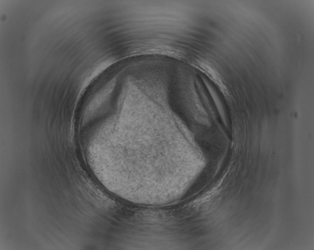 X0000089660780200707121158