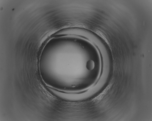 X0000089660781200707121158