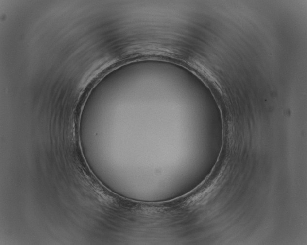 X0000089660782200707121158