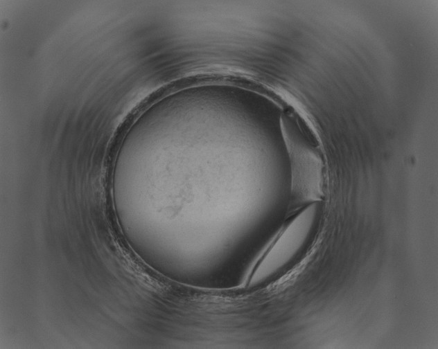 X0000089660783200707121158