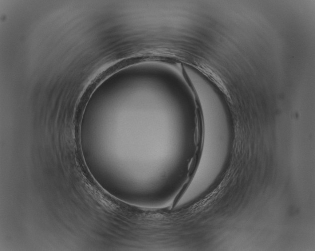 X0000089660784200707121158