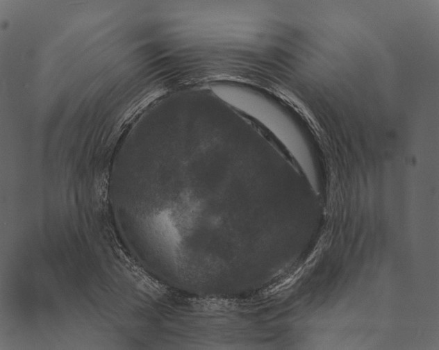 X0000089660785200707121158