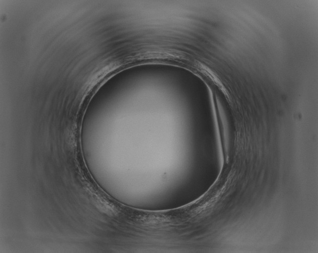 X0000089660786200707121158