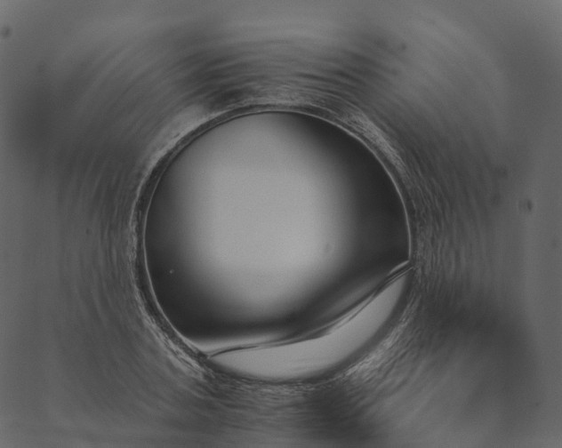 X0000089660787200707121158