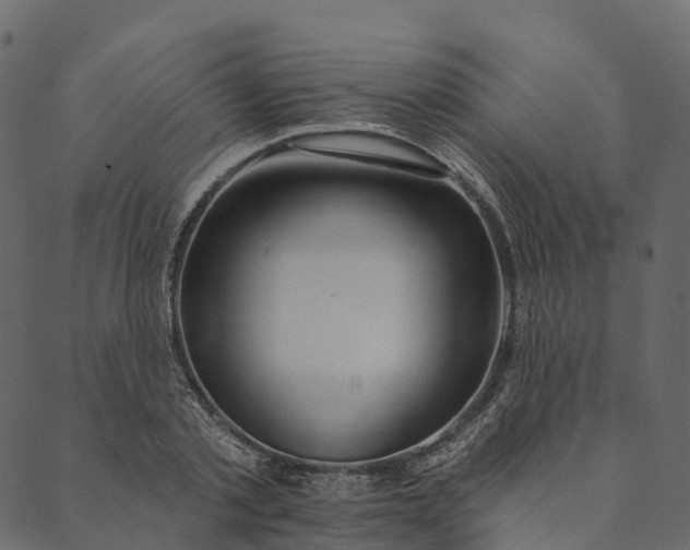 X0000089660789200707121158