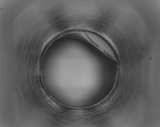 X0000089660791200707121157