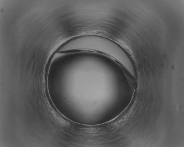 X0000089660792200707121157