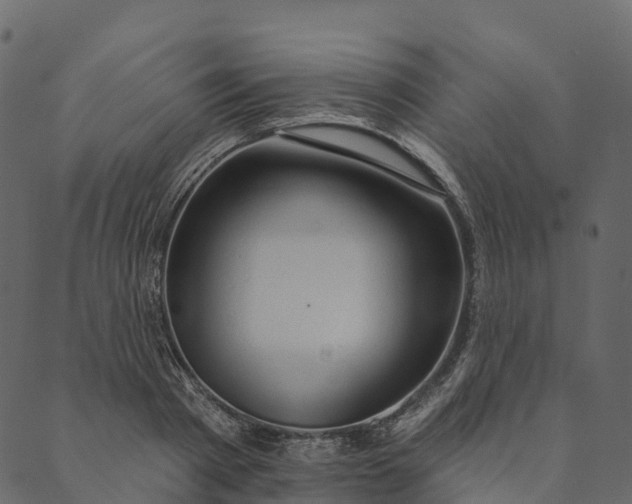 X0000089660793200707121157