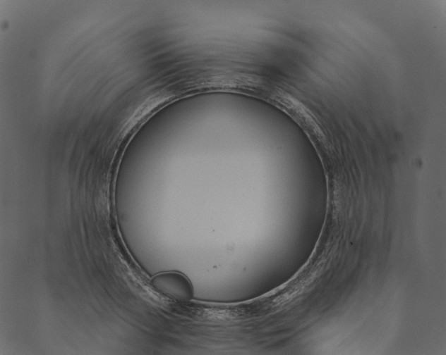 X0000089660794200707121157