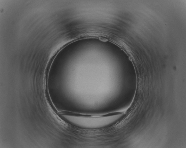 X0000089660795200707121157