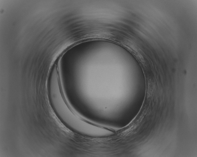 X0000089660796200707121157