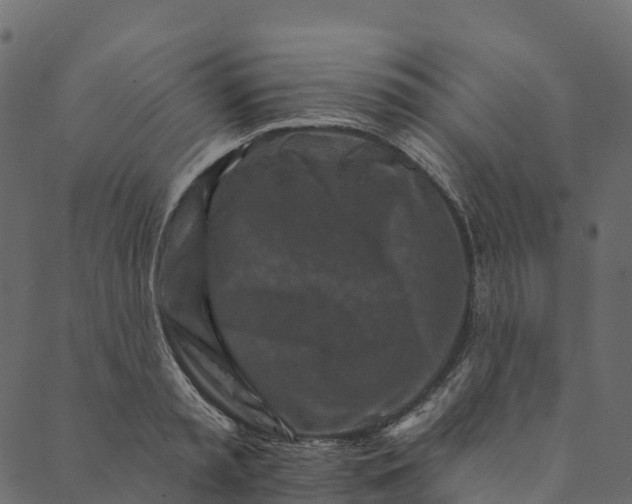 X0000089660797200707121157