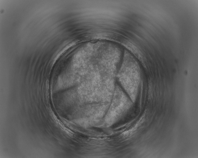 X0000089660798200707121157