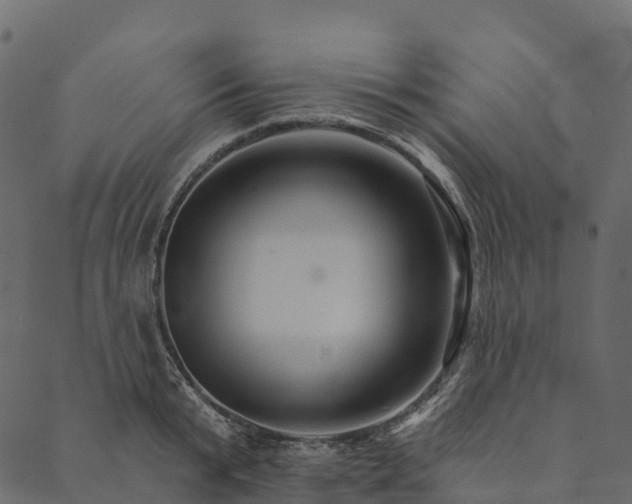 X0000089660799200707121157