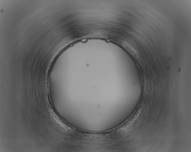 X0000089660800200707121157