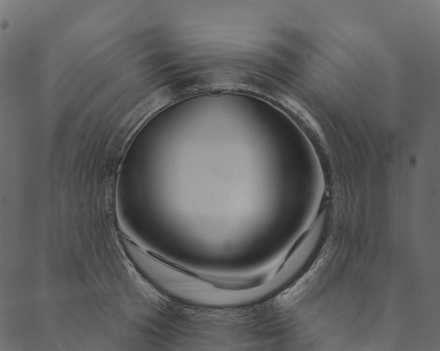 X0000089660801200707121157