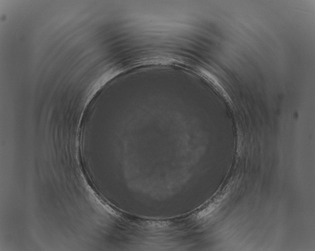 X0000089660802200707121157