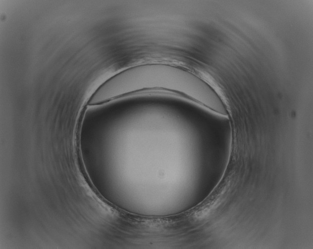 X0000089660803200707121157