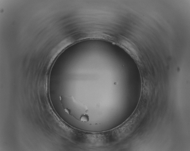 X0000089660804200707121157