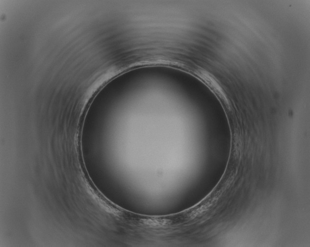 X0000089660805200707121157