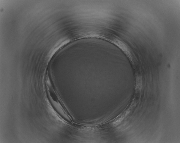 X0000089660806200707121157