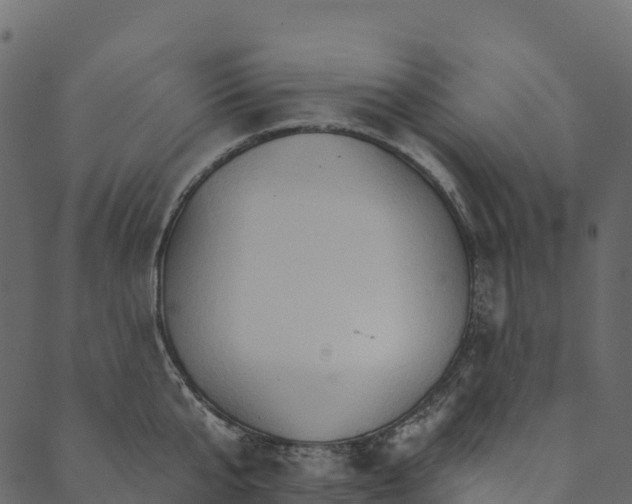 X0000089660807200707121157