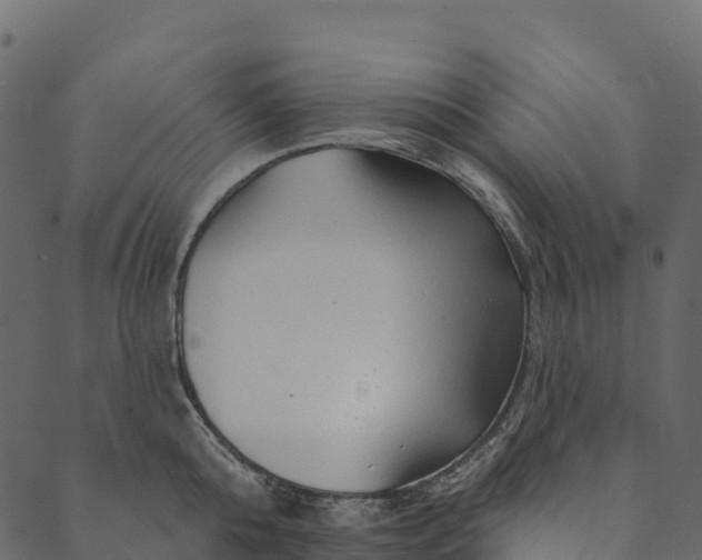 X0000089660808200707121157