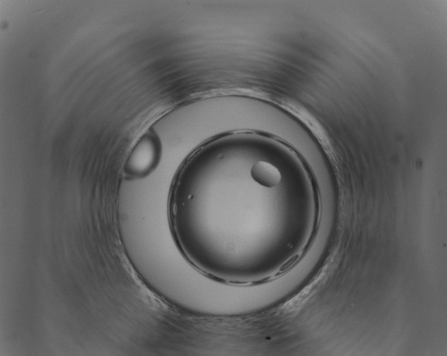 X0000089660809200707121157