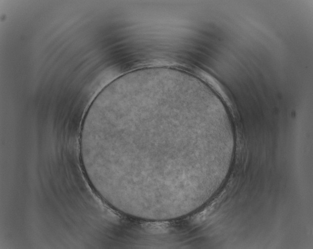 X0000089660810200707121157