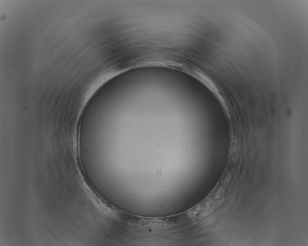 X0000089660811200707121157