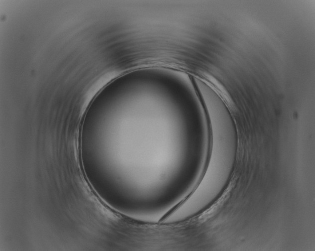 X0000089660812200707121157