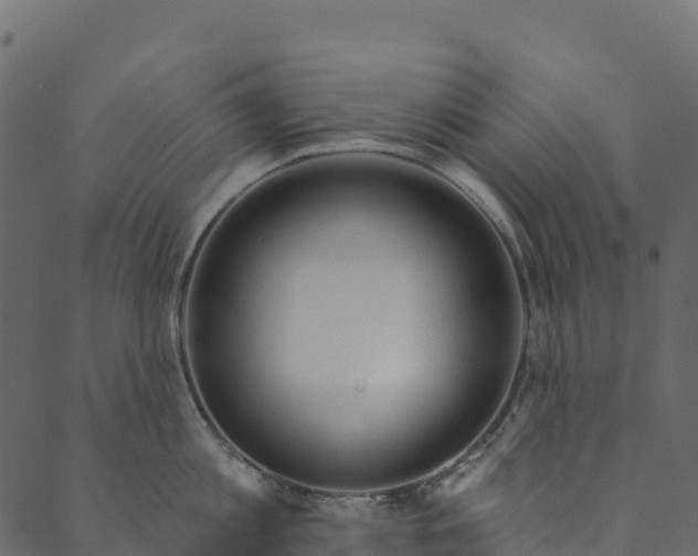 X0000089660813200707121157