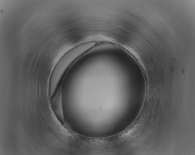 X0000089660815200707121157