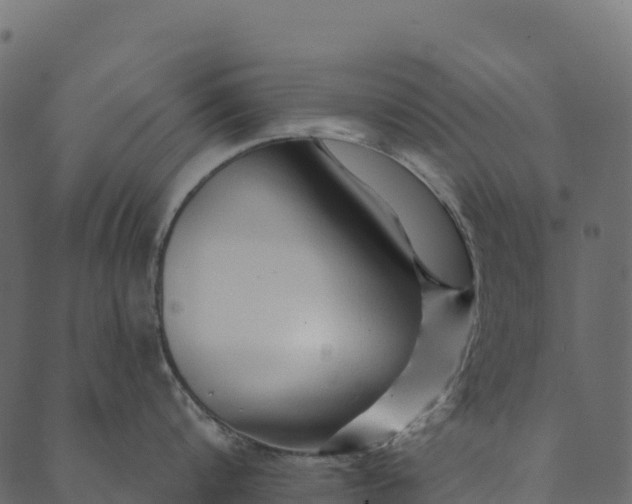 X0000089660816200707121157