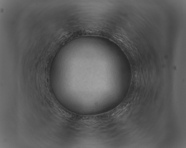 X0000089660817200707121156