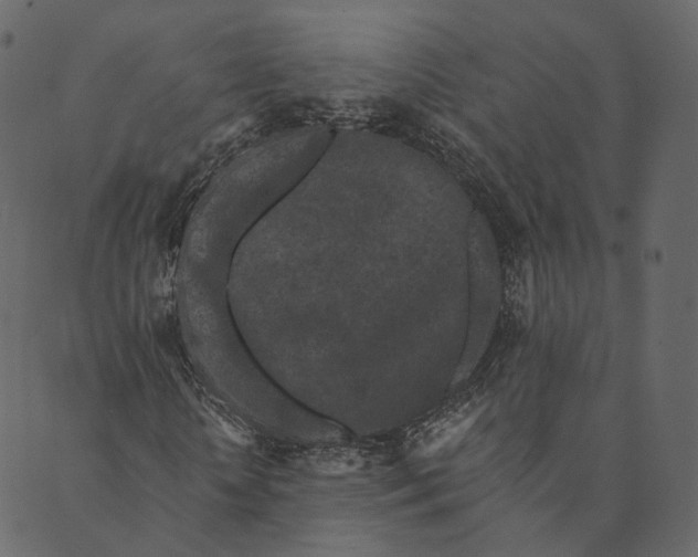 X0000089660818200707121156