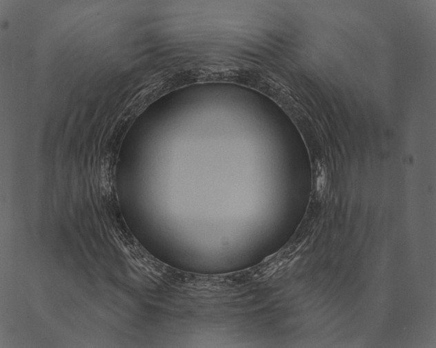 X0000089660819200707121156