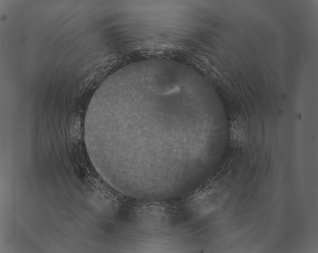 X0000089660820200707121156