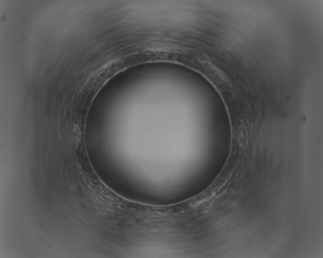 X0000089660821200707121156