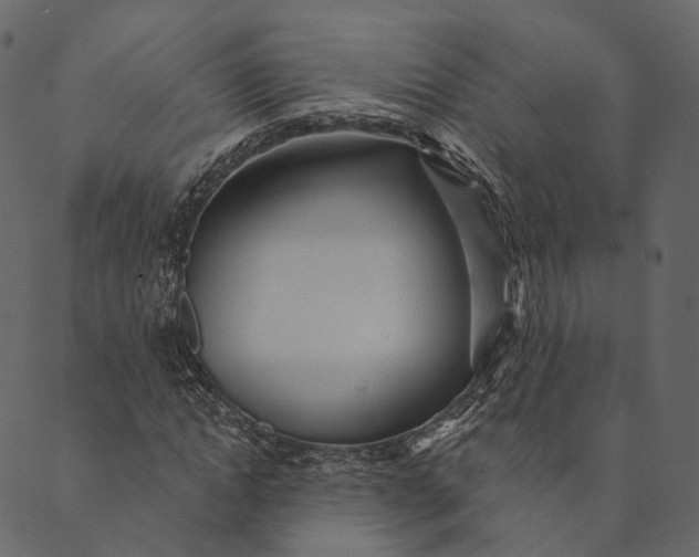 X0000089660822200707121156