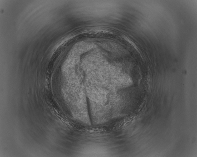 X0000089660823200707121156