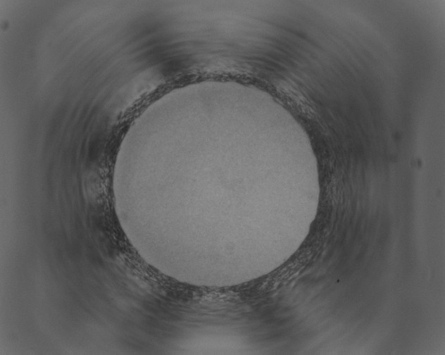 X0000089660824200707121156