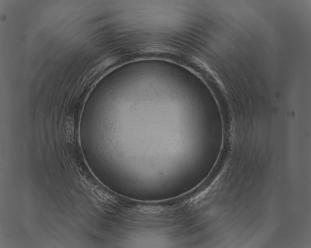 X0000089660825200707121156